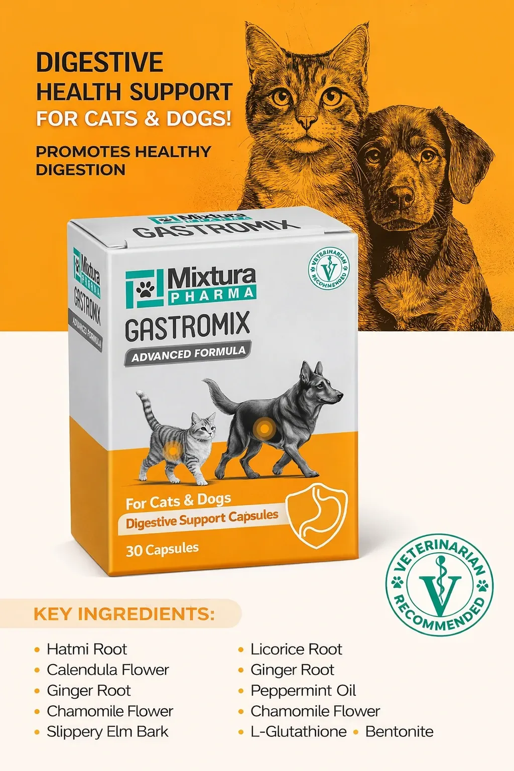 MIXTURA PHARMA GASTROMIX 30 CAPSUL