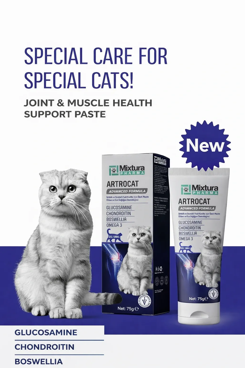  MIXTURA PHARMA ARTROCAT PASTE 75 GR